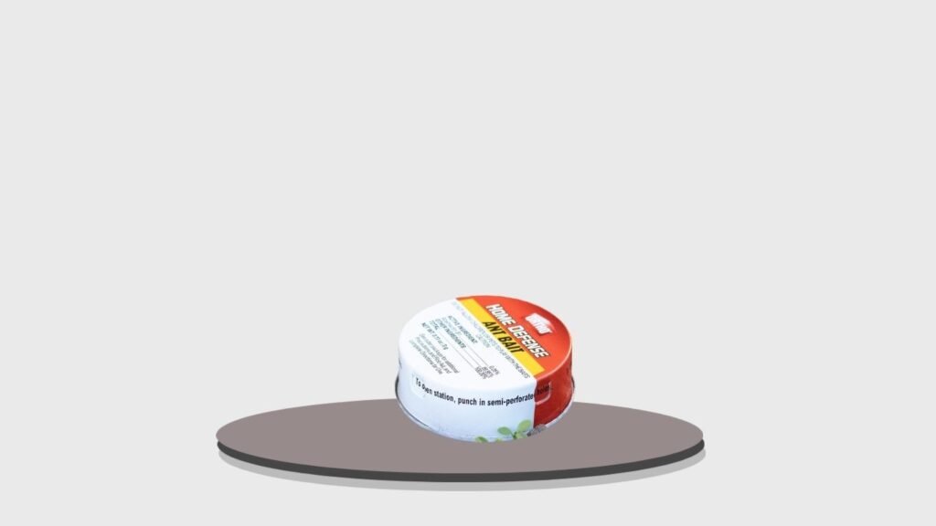 ORTHO Ant Traps with Adhesive Design