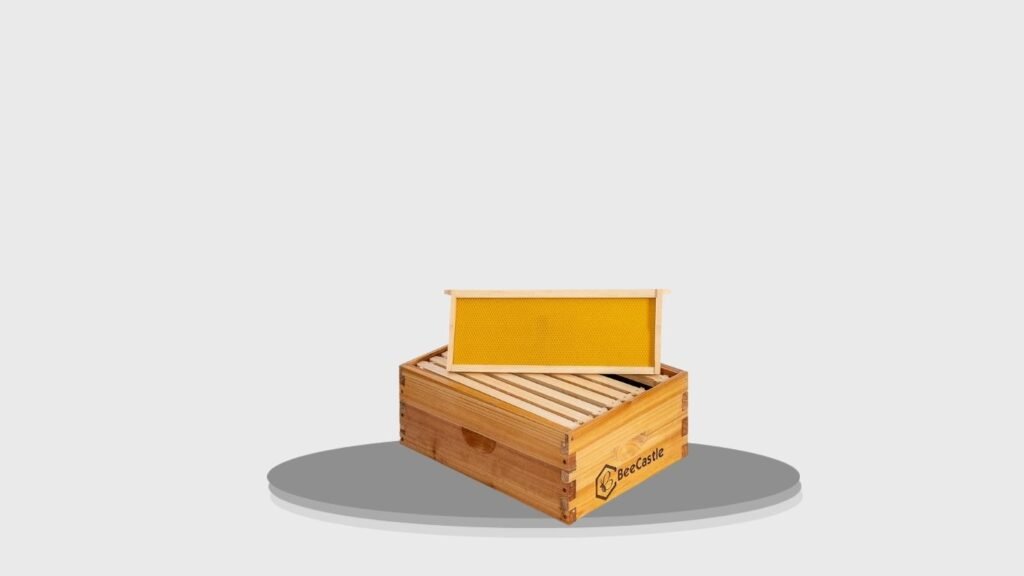 BeeCastle 8-Frame Medium Super Bee Hive Box