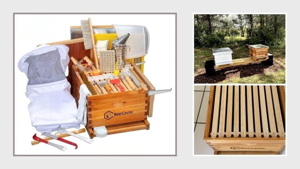 10-Frame Beehive Supplies Kit for Beginners