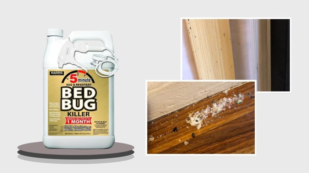 Harris 5 Minute Bed Bug Killer