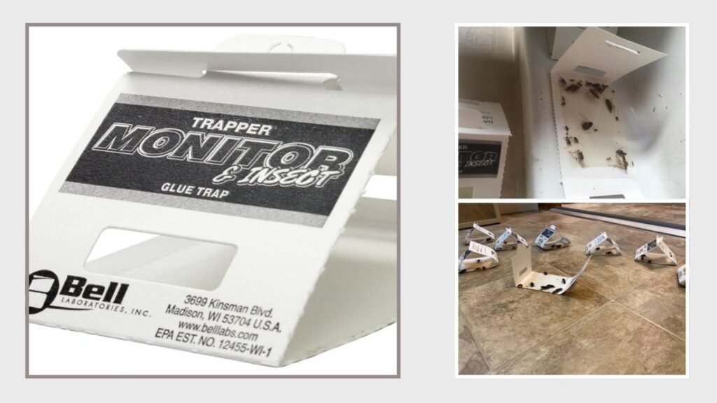 Trapper Insect Glue Traps