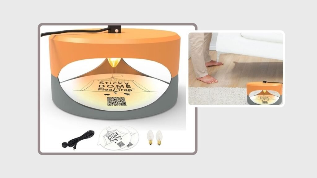 ASPECTEK Indoor Insect Trap