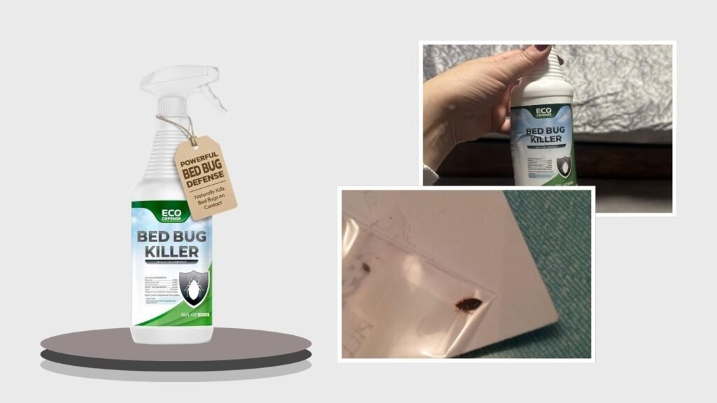 Eco Defense Bed Bug Killer – Natural Formula
