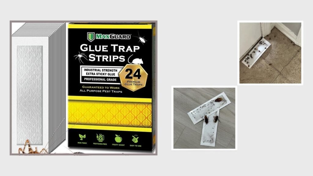 Non-Toxic Pre-Baited Spider & Crawling Insect Sticky Traps