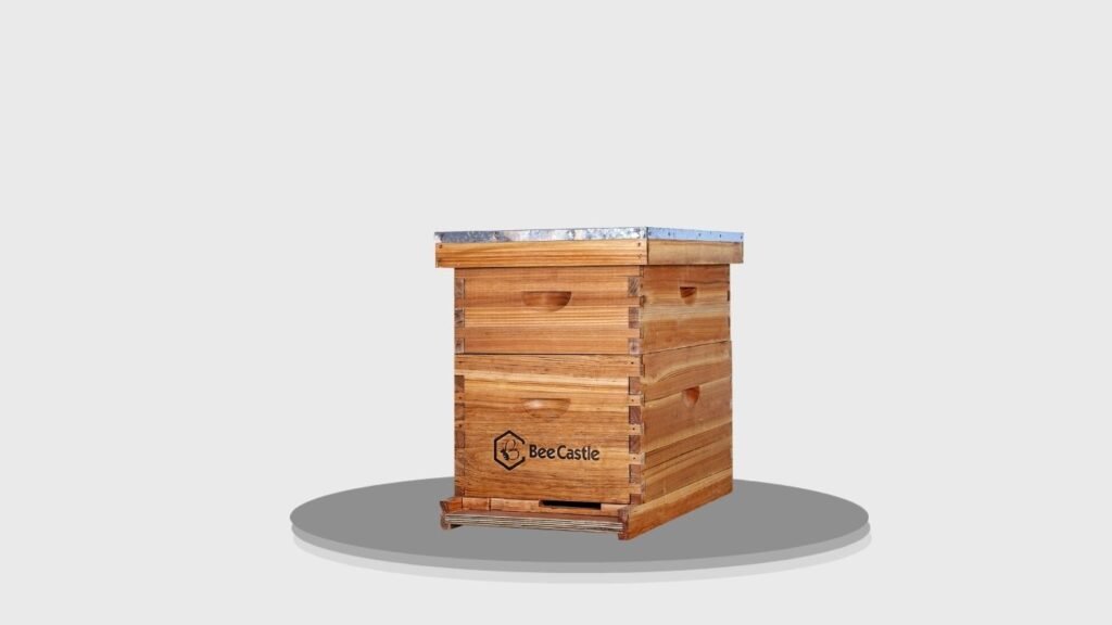 10-Frame Complete Beehive with Beeswax Foundation