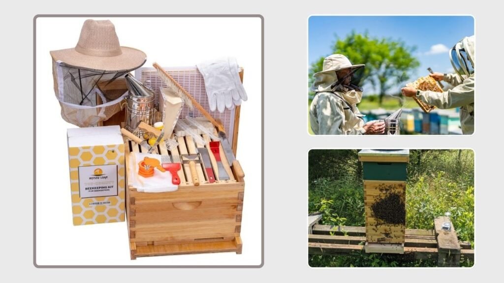 HONEY LAKE 10-Frame Beehive Starter Kit with Beekeeping Equipment