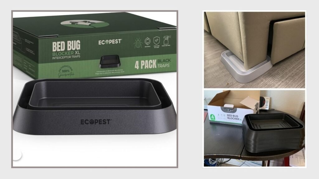 Pesticide-Free Bed Bug Interceptor Traps