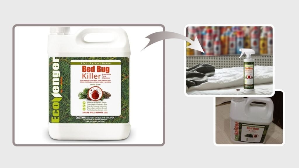 EcoRaider Bed Bug Killer Spray – Extended Protection