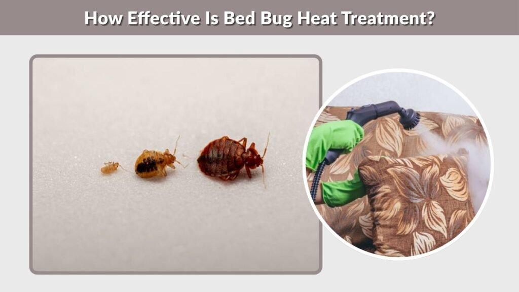 How Effective Is Bed Bug Heat Treatment?