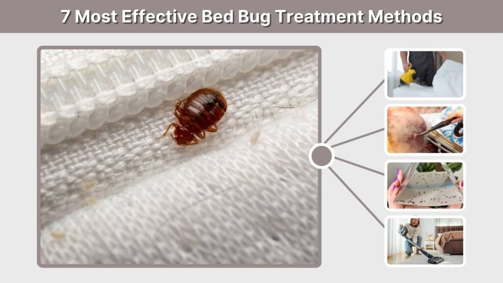 7 Most Effective Bed Bug Treatment Methods