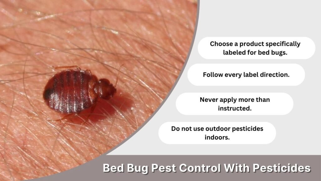 Bed Bug Pest Control With Pesticides
