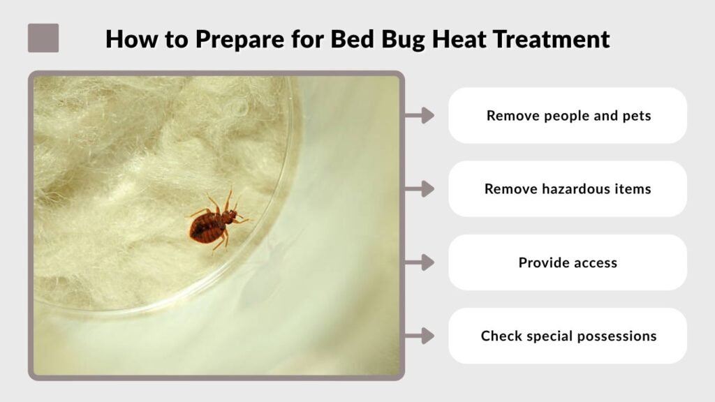 How to Prepare for Bed Bug Heat Treatment