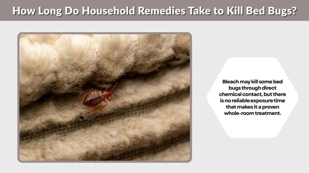 How Long Do Household Remedies Take to Kill Bed Bugs?