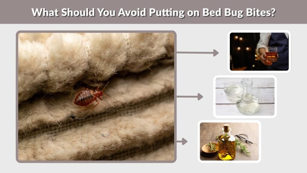 What Should You Avoid Putting on Bed Bug Bites?