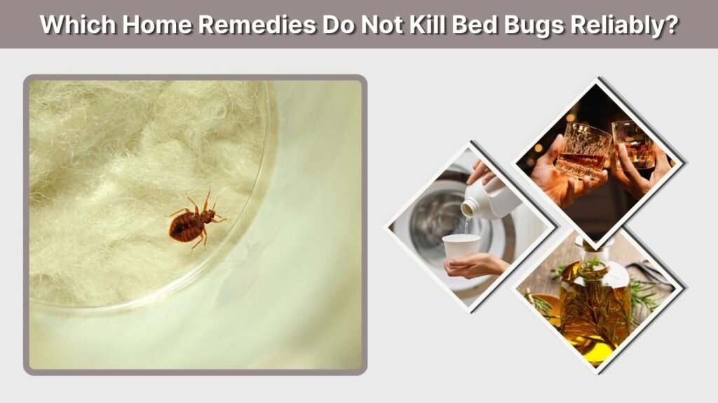 Which Home Remedies Do Not Kill Bed Bugs Reliably?